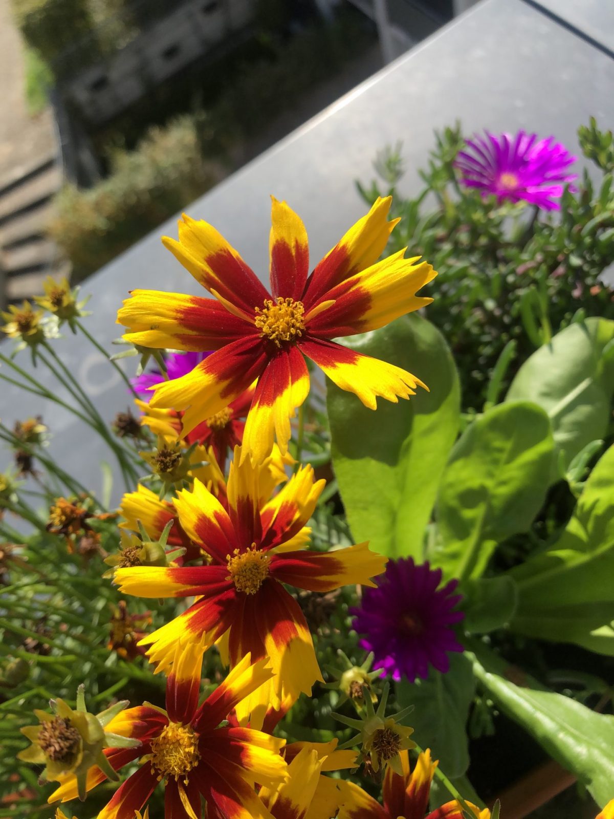 5CD354A1-94E4-43D2-A567-377687B7DF15