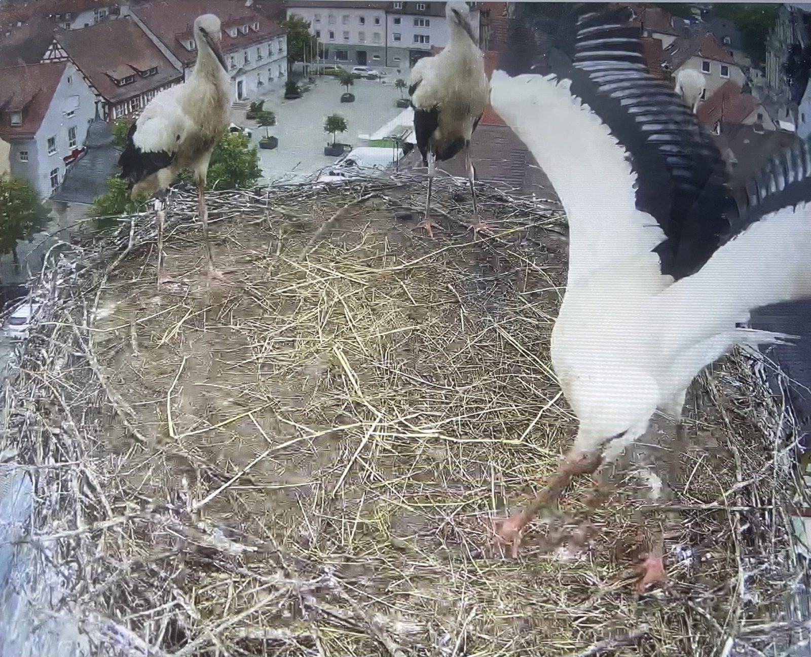 5D670B52-A69D-4D07-9E4F-128490855658