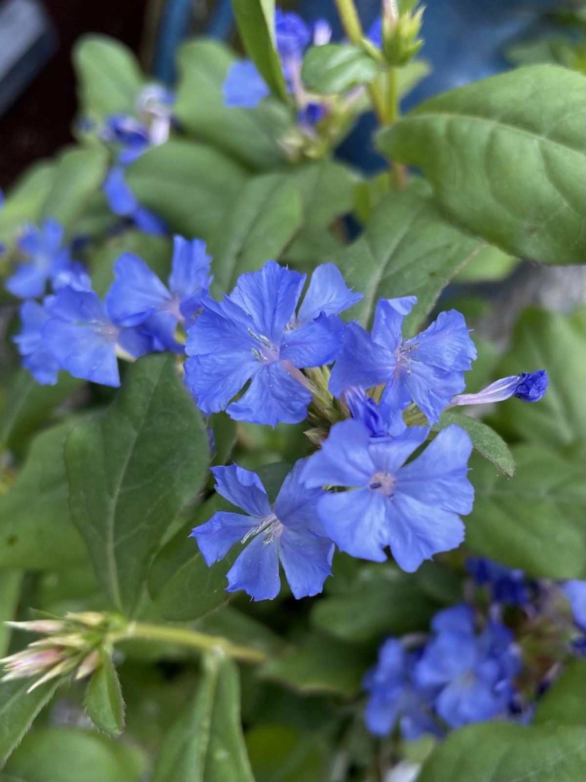 5DFEC7B6-7AE2-4354-9245-C7F05862D63A