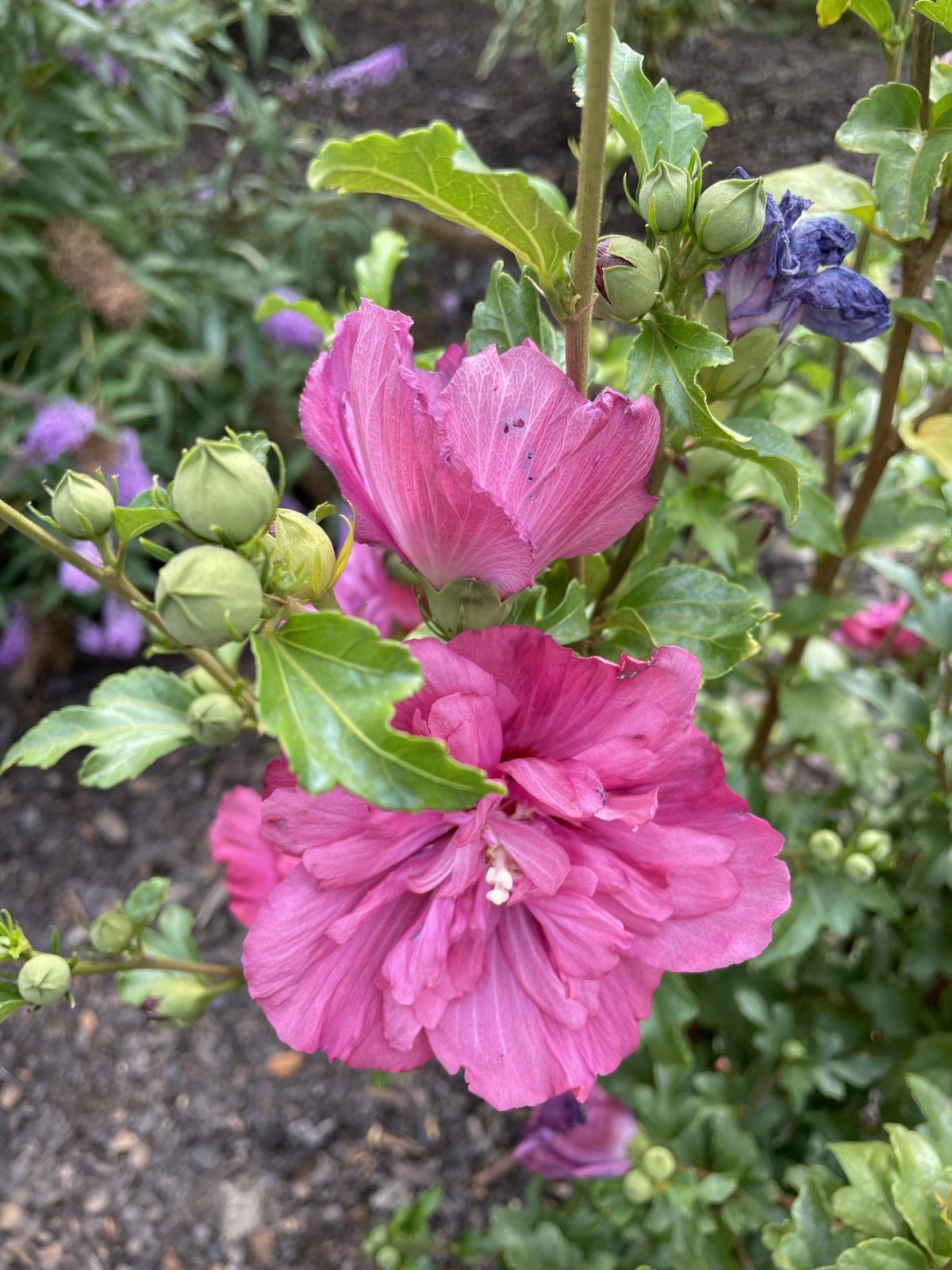 5E25BAF9-DF0E-4E34-9B28-CC52568EB86B