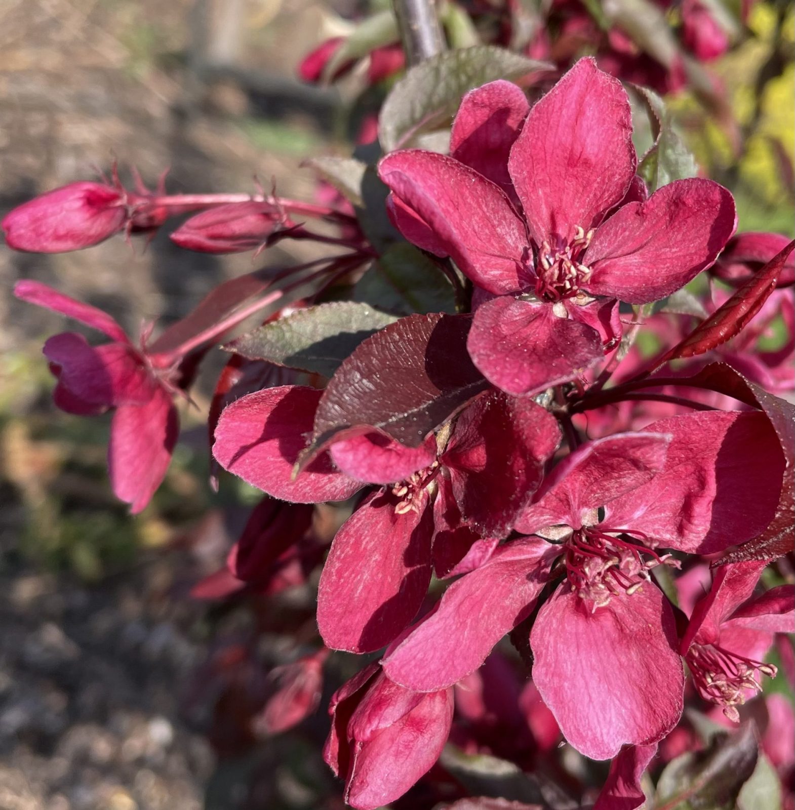 5E3B7EF1-346F-45C1-AC63-A66BB8129DEE