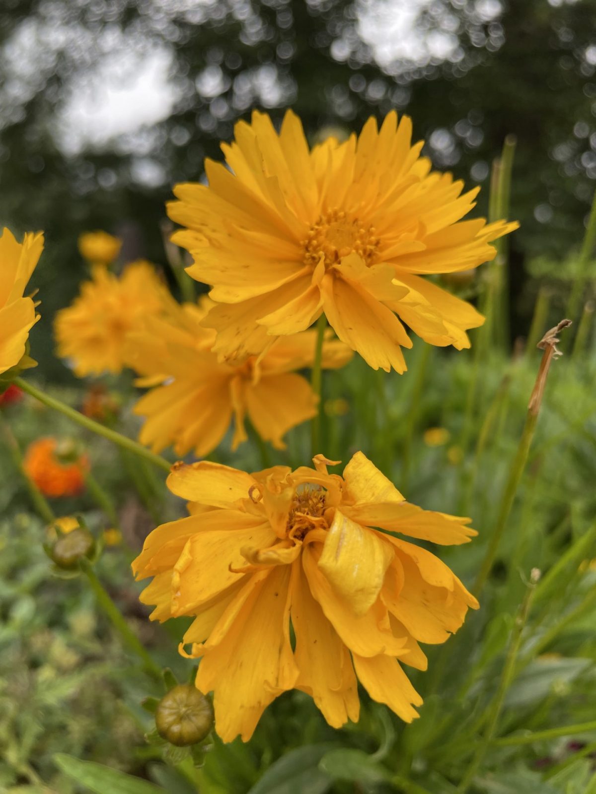 5E6AAC8F-9B59-4638-AC5F-F185EEDAB318