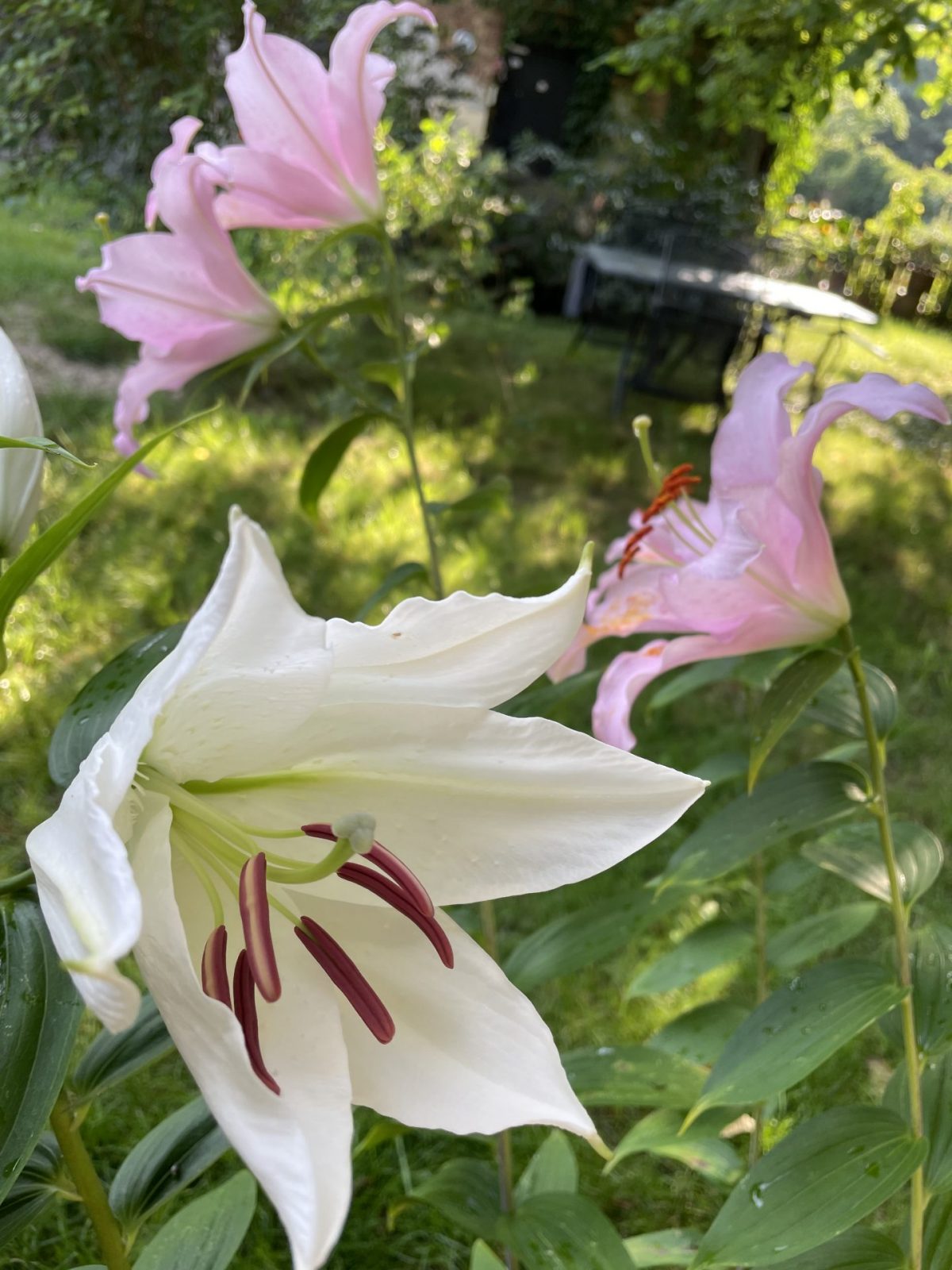 5E72CEC9-0D07-4642-B5BE-30CB88B8B39B