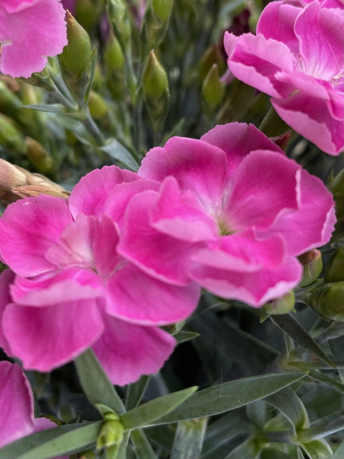 5E776A88-5E8C-44E5-AEE1-997BEEFDC564