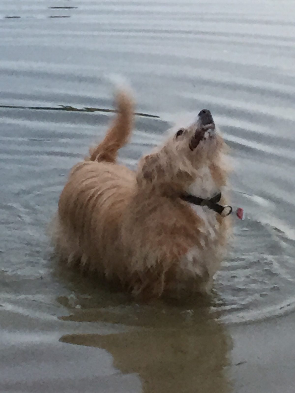 5EB6320A-49E3-4DB8-AEF6-77E16EBB0557