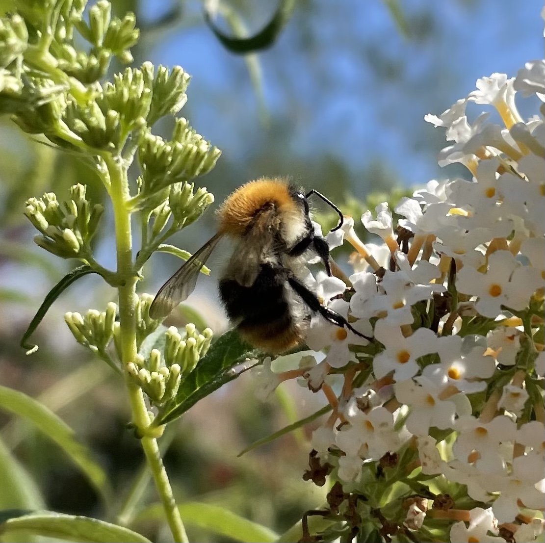 5EEEB6C6-AFAE-478E-8D05-311F8B79FCDE