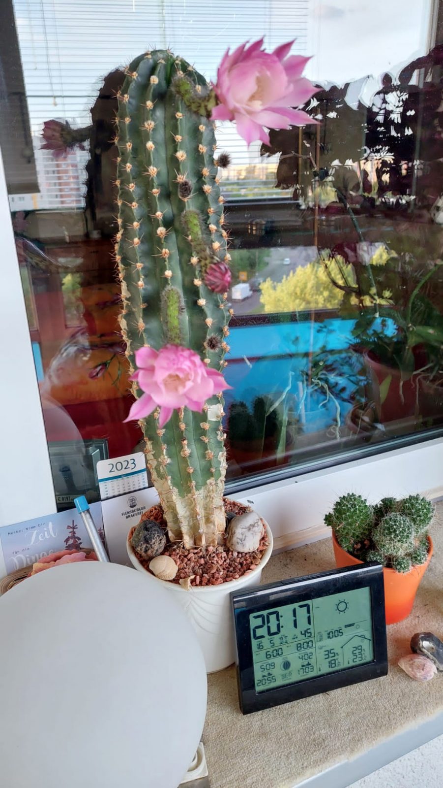 5aed6b51-23b2-4cab-8759-27326ffdb43e