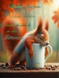 5b5384338518828f74b9f45b6c6922f9