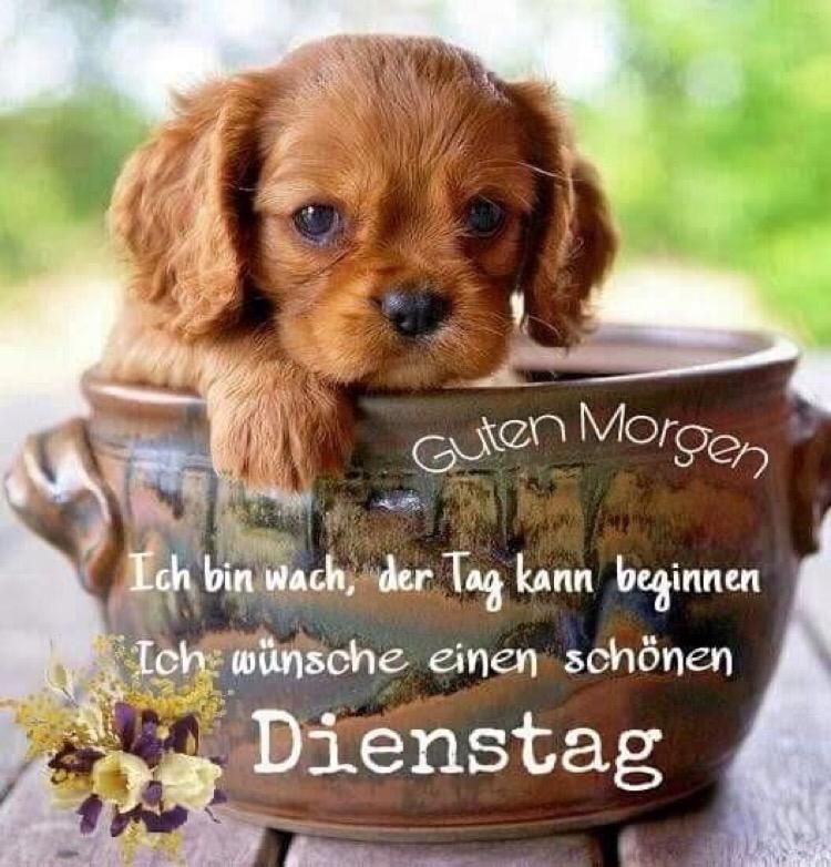 5e8ab877-7661-4fea-b438-b20faf8bdcf6