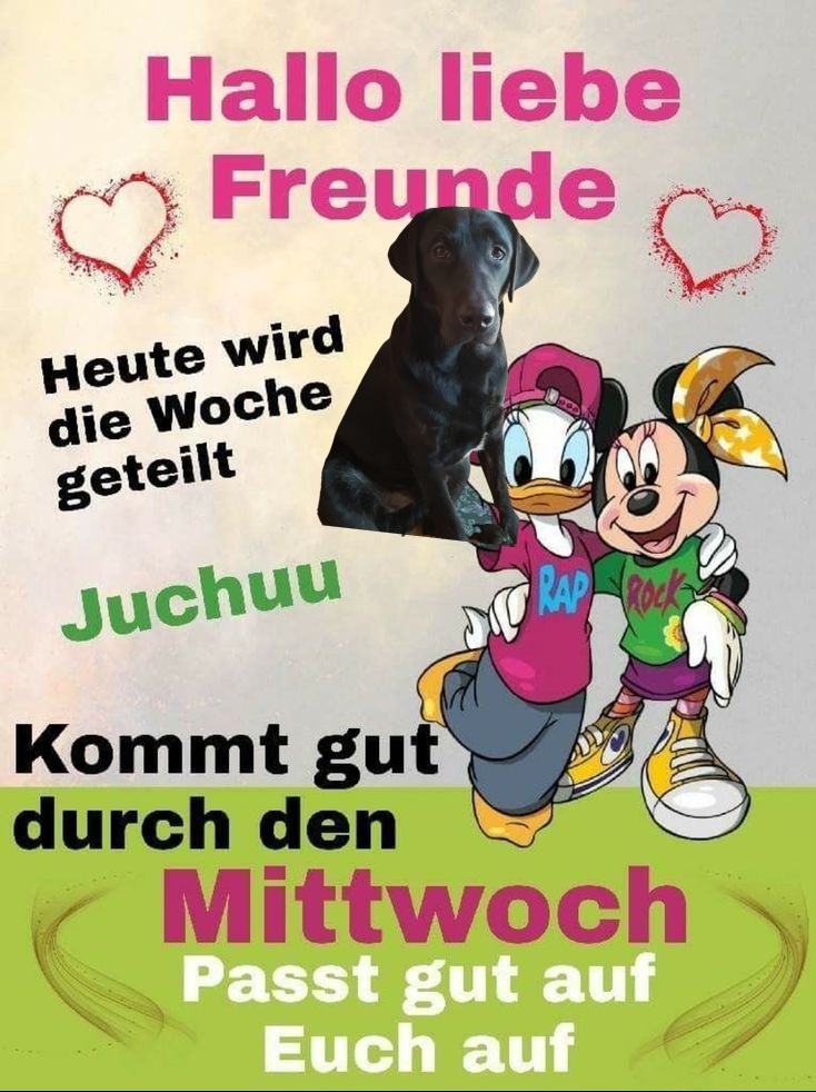 5f2667e5f354d8da007d7432c5e39d51