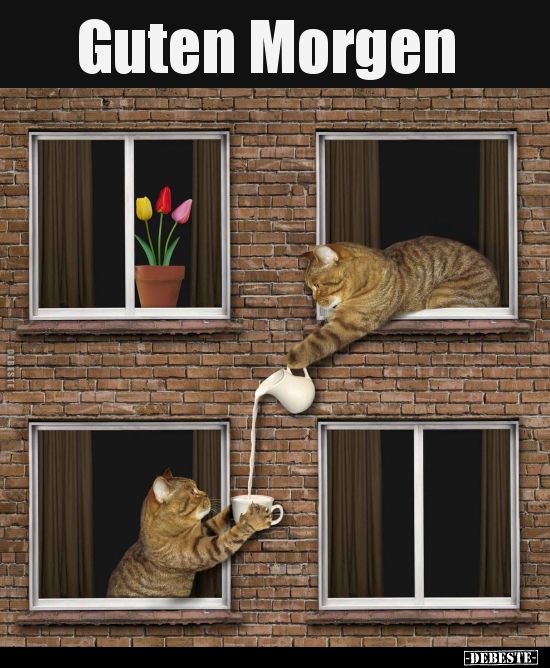 5f4cdb6ae1b8da6c149242be651a60f7