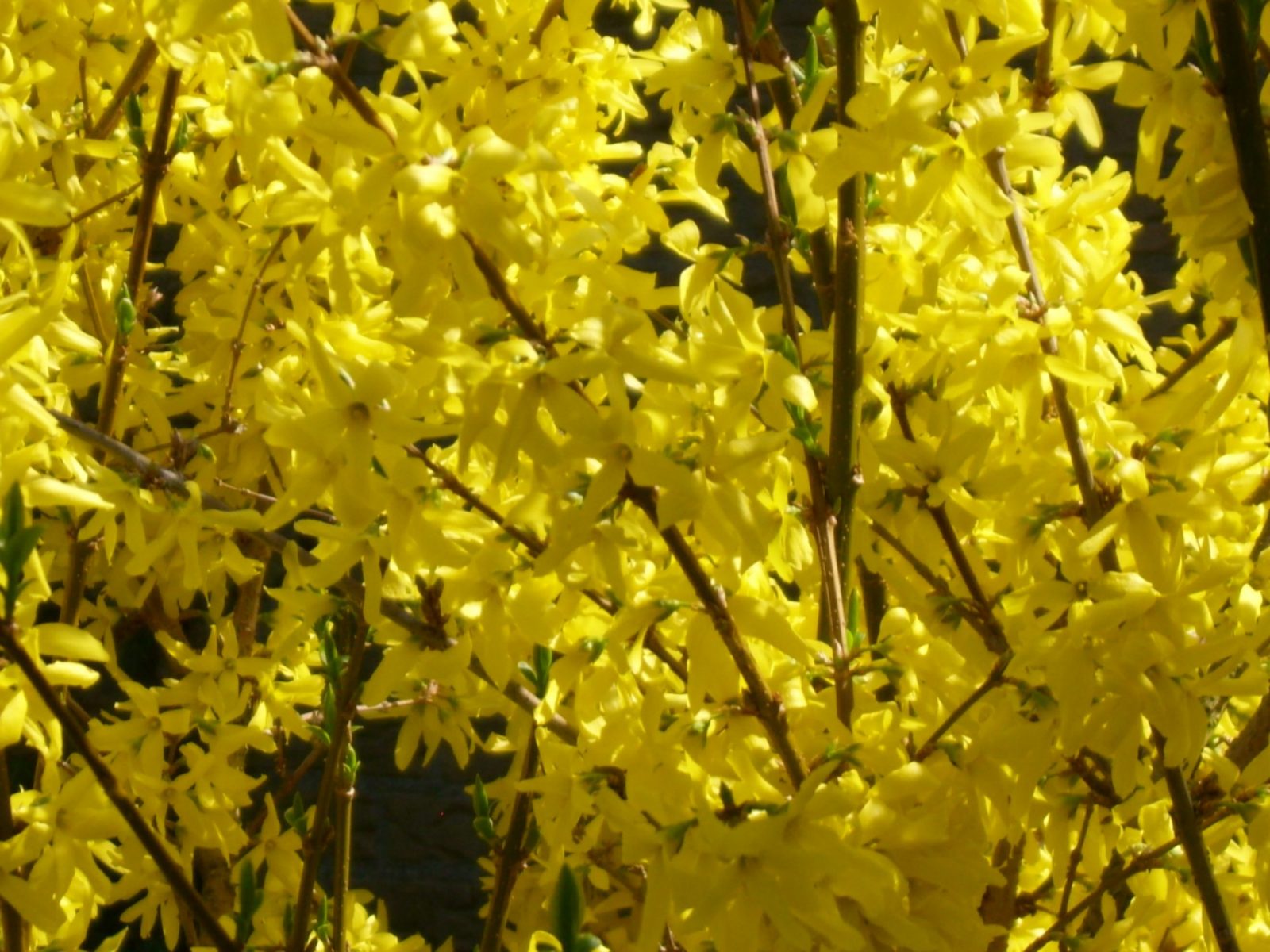 6. April 2009 Osterwoche 064