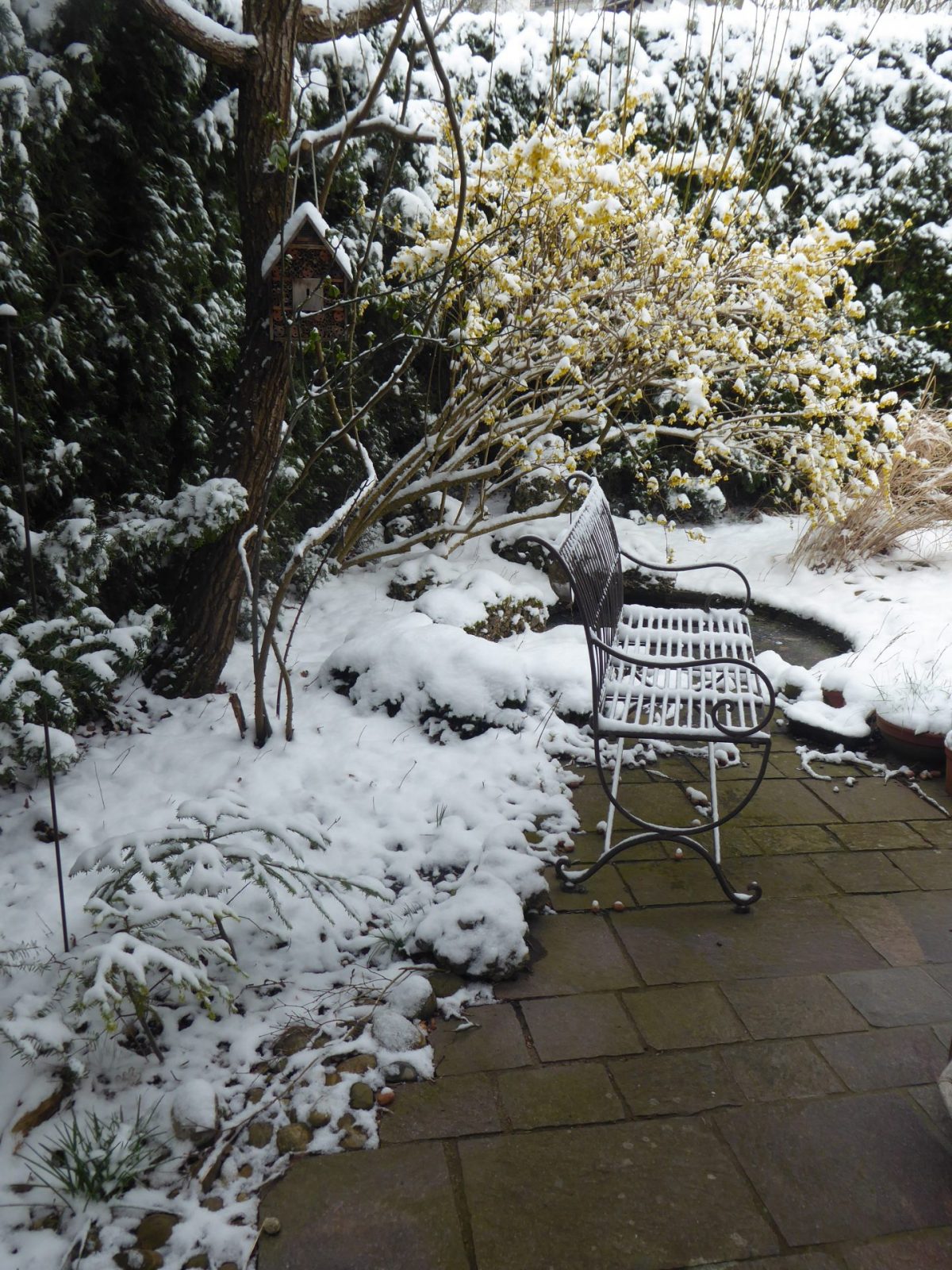 6.4.2021 Dienstag (3)