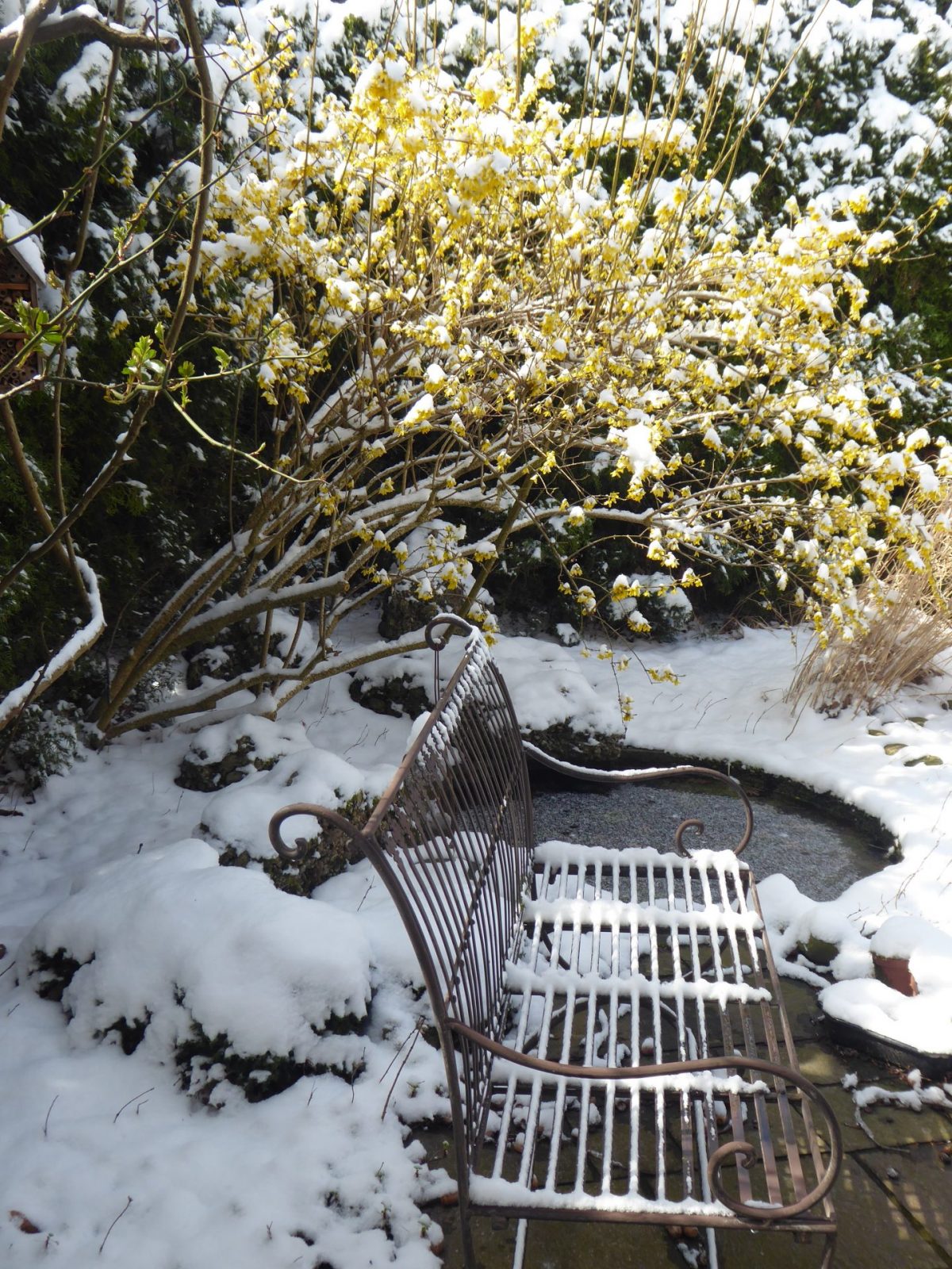 6.4.2021 Dienstag (34)