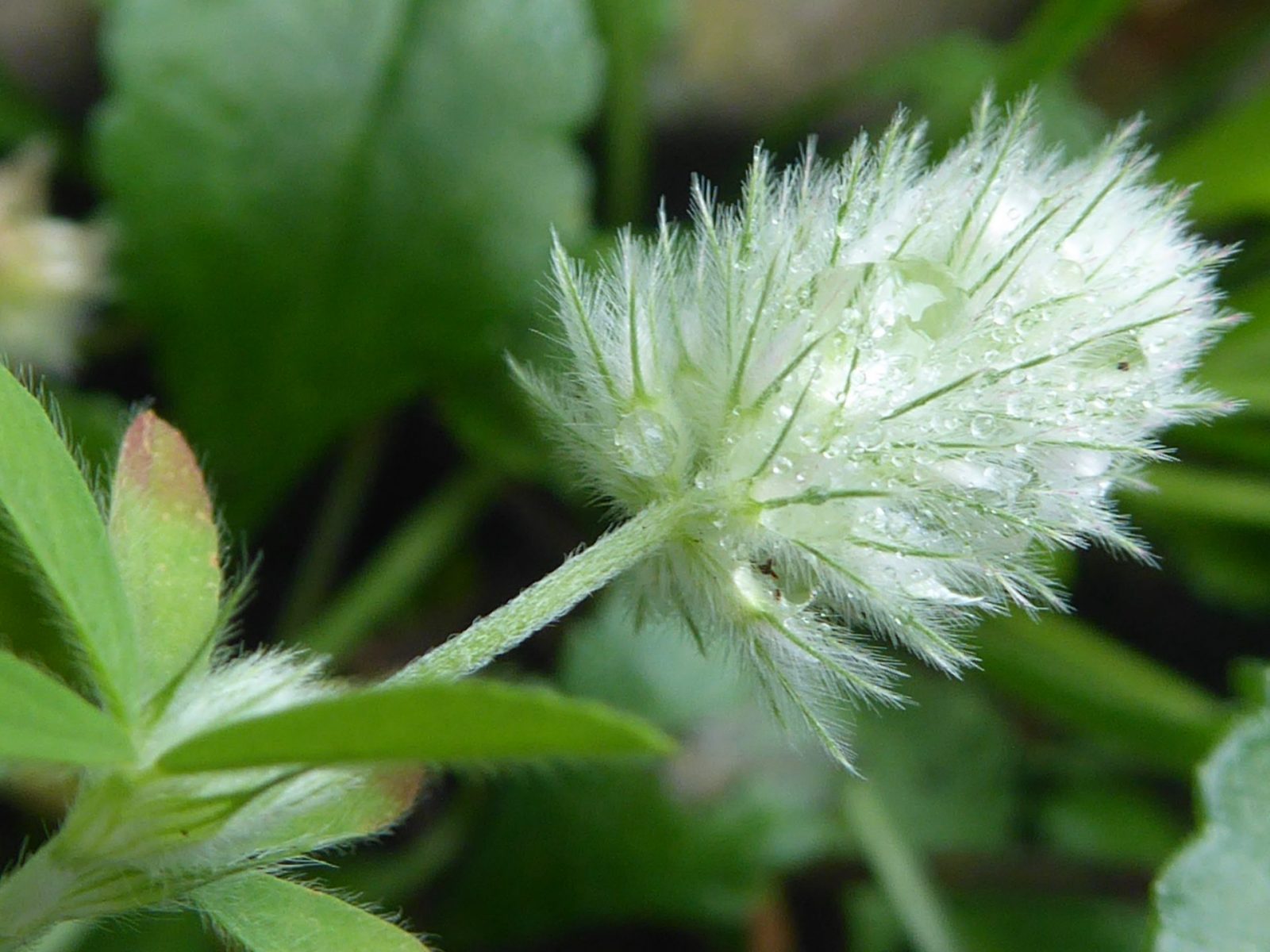 6.8.2022 bis 14 Vögel (151)