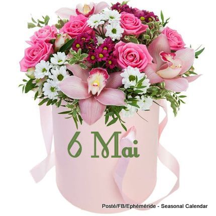 6.Mai