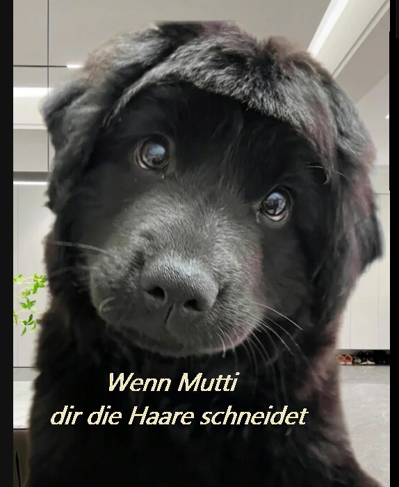 601bbcb447c04806cb828782798f38b532895