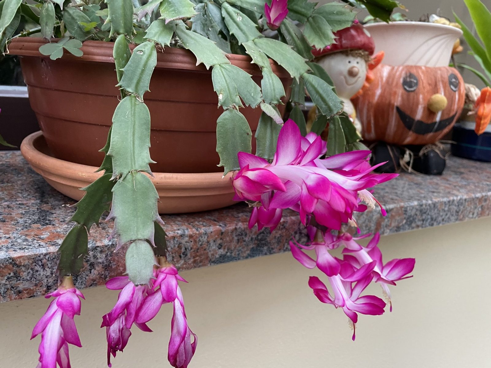 60BBC051-76AD-4ED7-985C-26E55ABB26EF