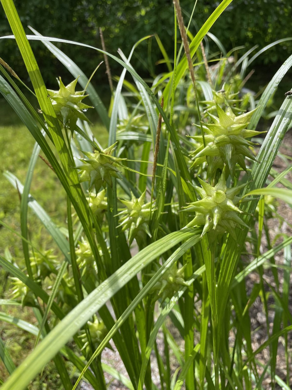 60ED8131-60E9-418A-A8B2-8384770E4C46