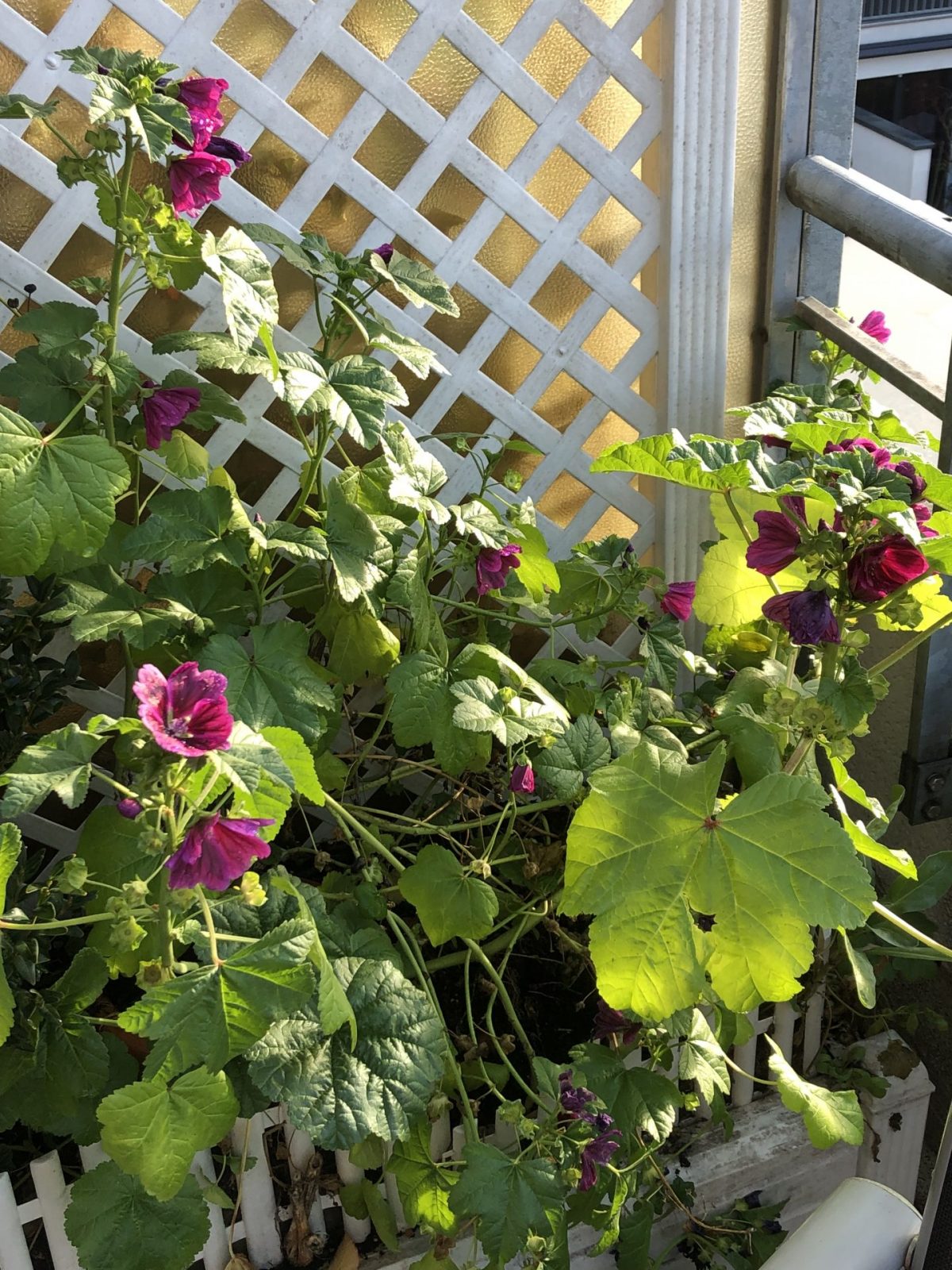 60F216F5-9C05-4137-84EB-A809B3470020