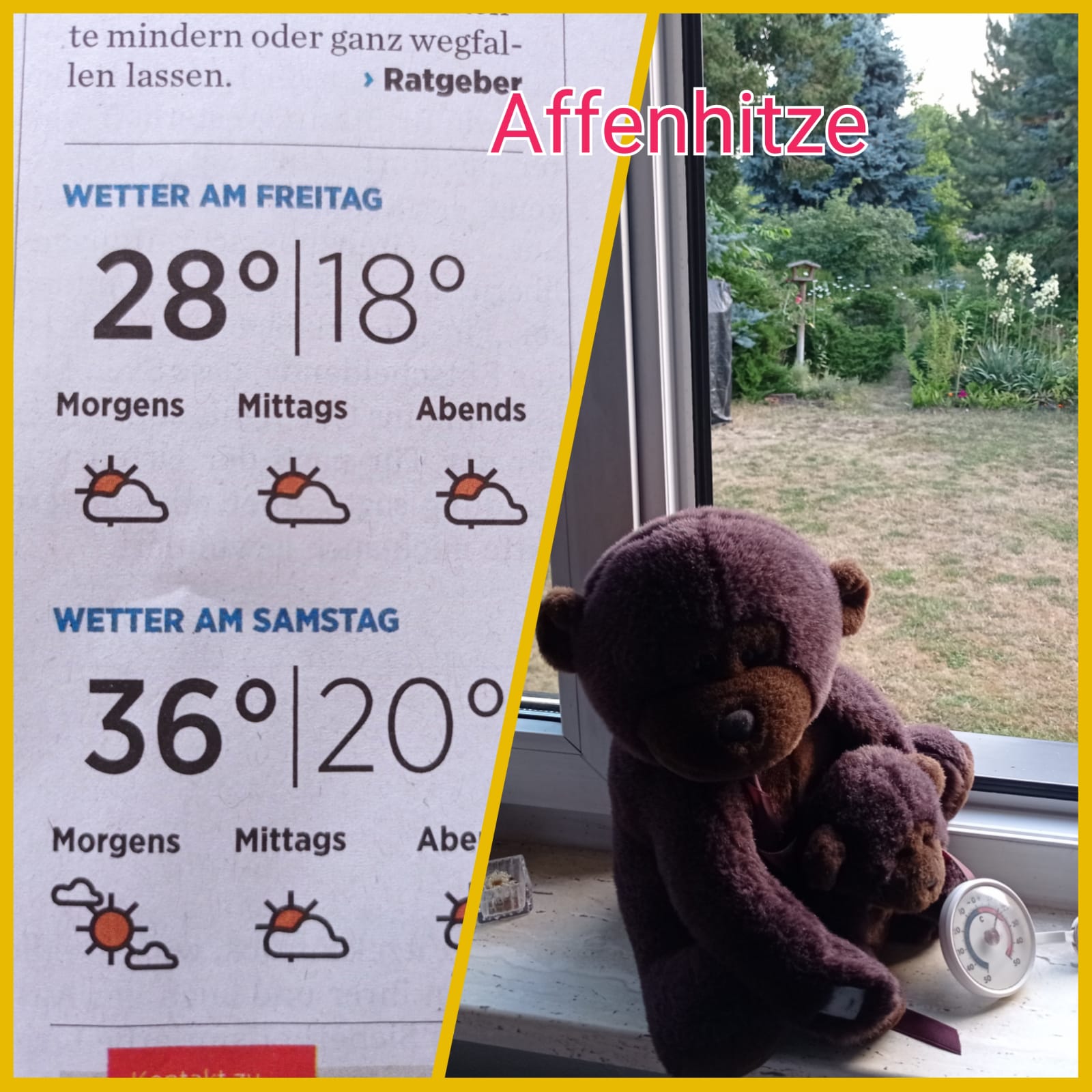 60adf75e-1454-42f6-8231-1973ac25bb64