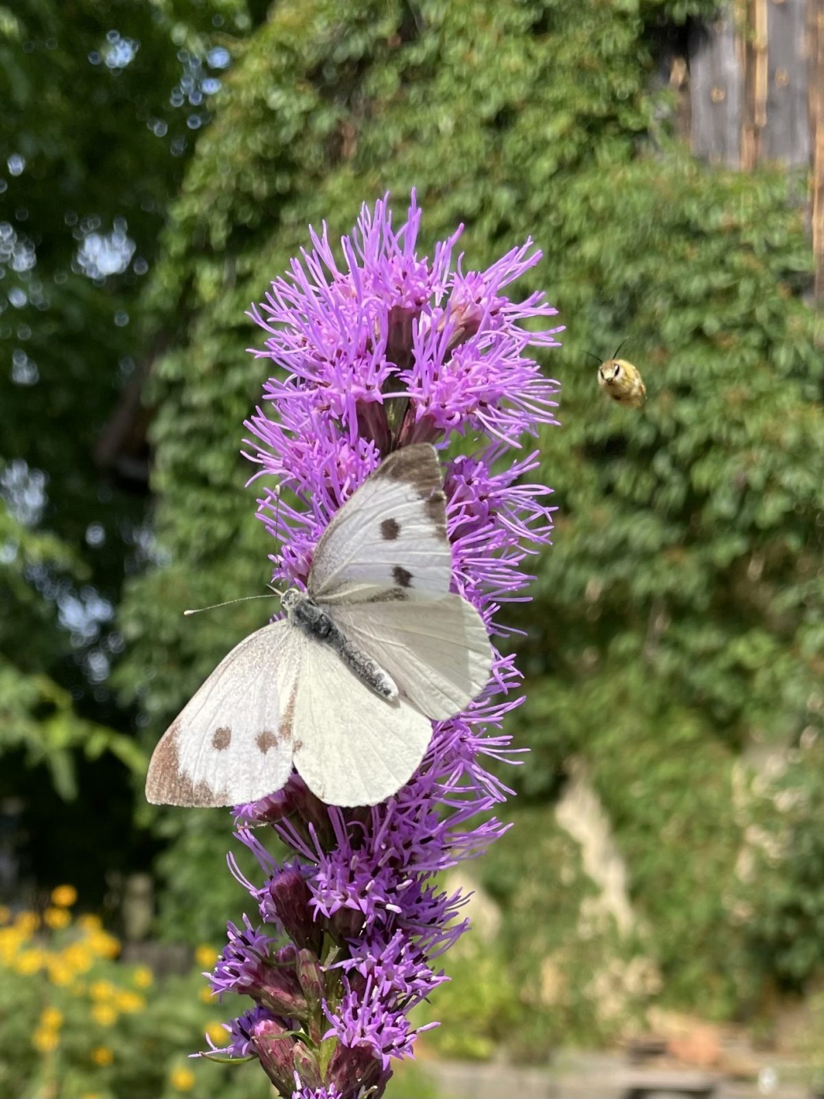 6138744D-3776-4B49-AE6A-CE4E4E20D2DF