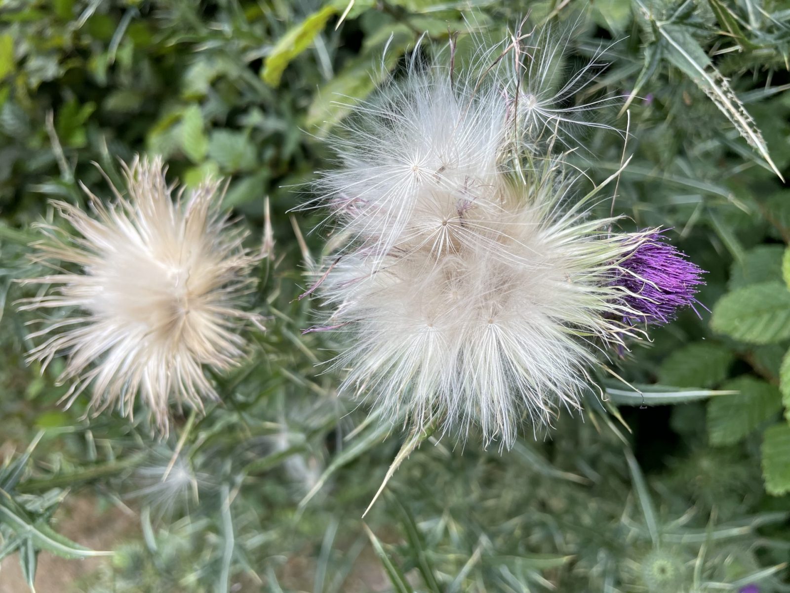 614BAFB9-C0E0-4FA0-A29B-C4703F72BE1B