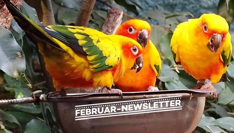 620b68a84446bc59a5651500