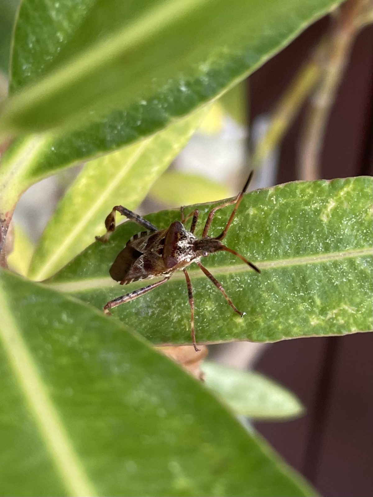 625D8869-166E-46FF-8E6F-929333809AE2