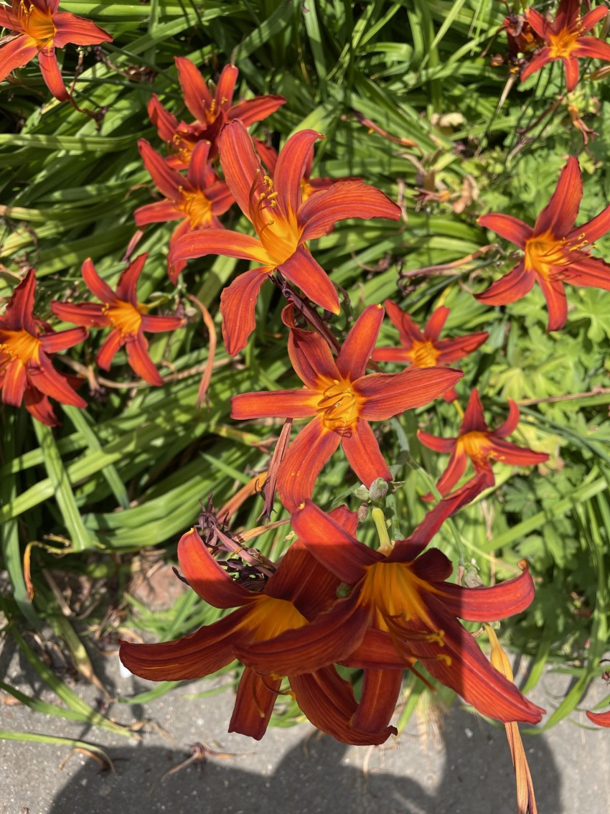 627365EB-AD5C-4DD7-A782-8D0771F0E326