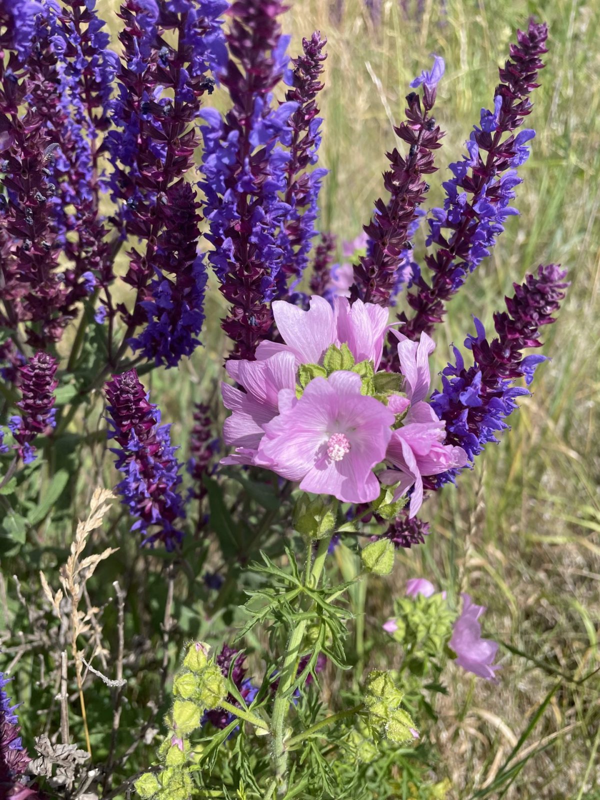 6276020D-22F9-475F-897C-67B219DE012C