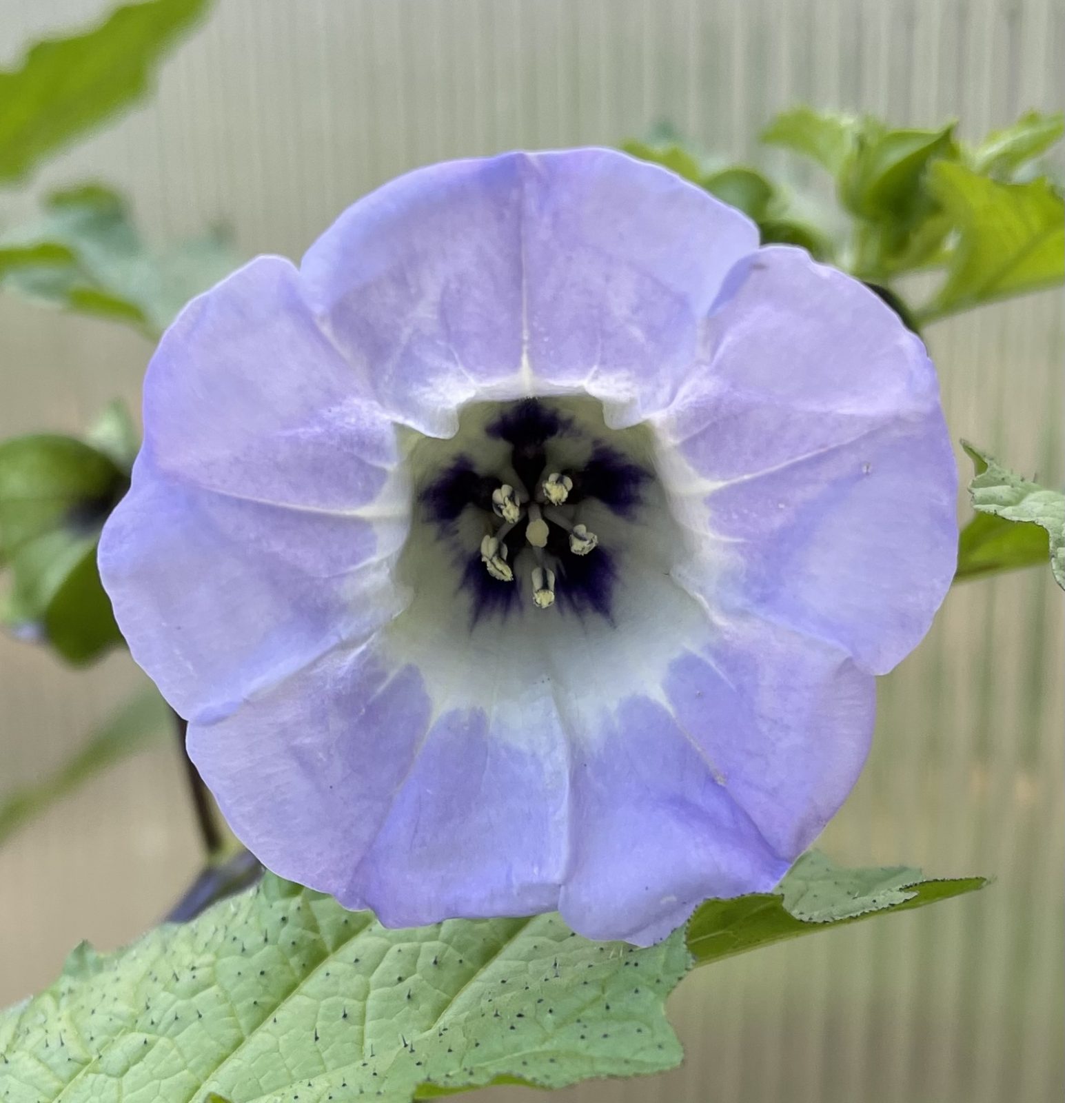 62B29B8B-73F0-4389-BF1A-1436BDA854CD