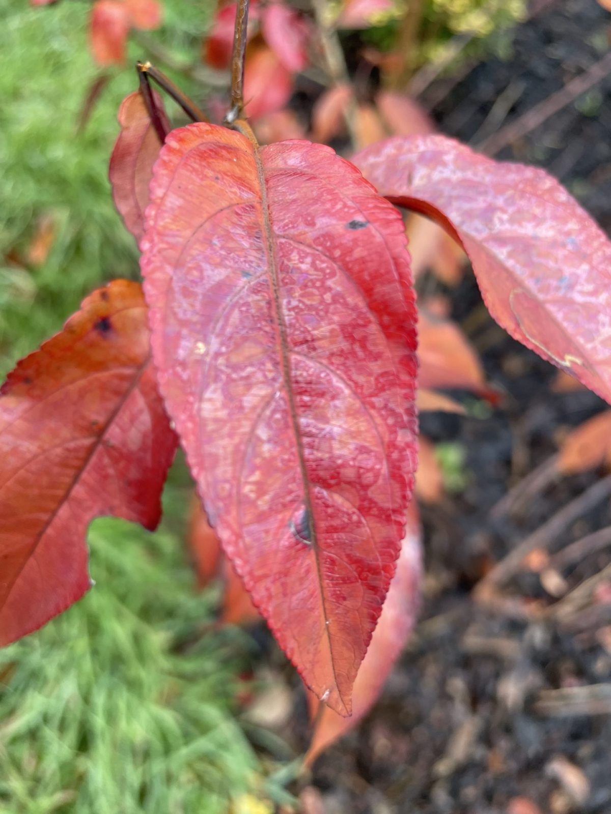 62B49014-3438-4C01-AF67-F789938ADB00