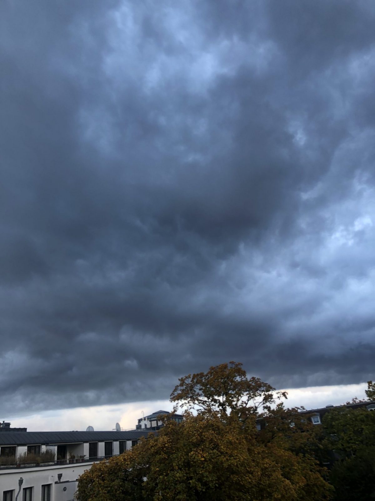 62D1565F-E81E-4049-9B2A-0DABFAFCAE16