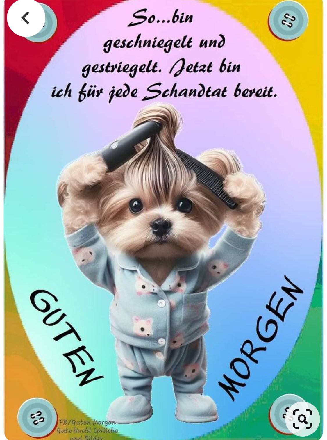 63137d908a026f6bf02ed5d266152345