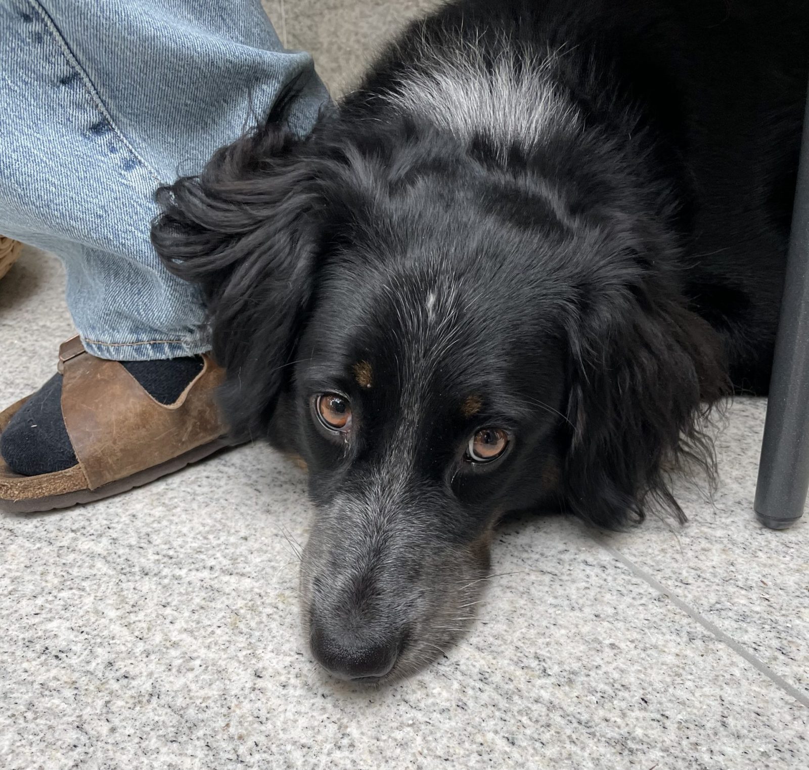 6336DCCE-97D8-42CB-B7AE-21B972898CBC