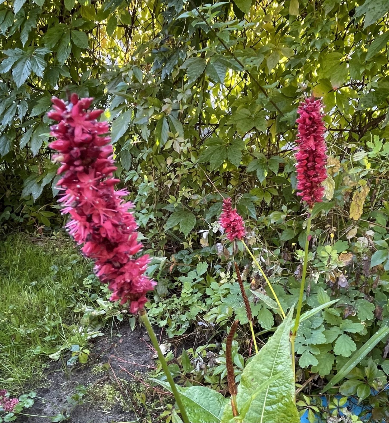 635A13C6-9399-48A0-B544-D664FF403AAE