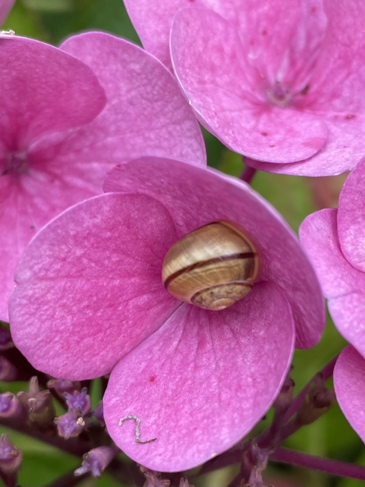 6388F91F-4FCC-4B60-8161-AE8CF0649B4C