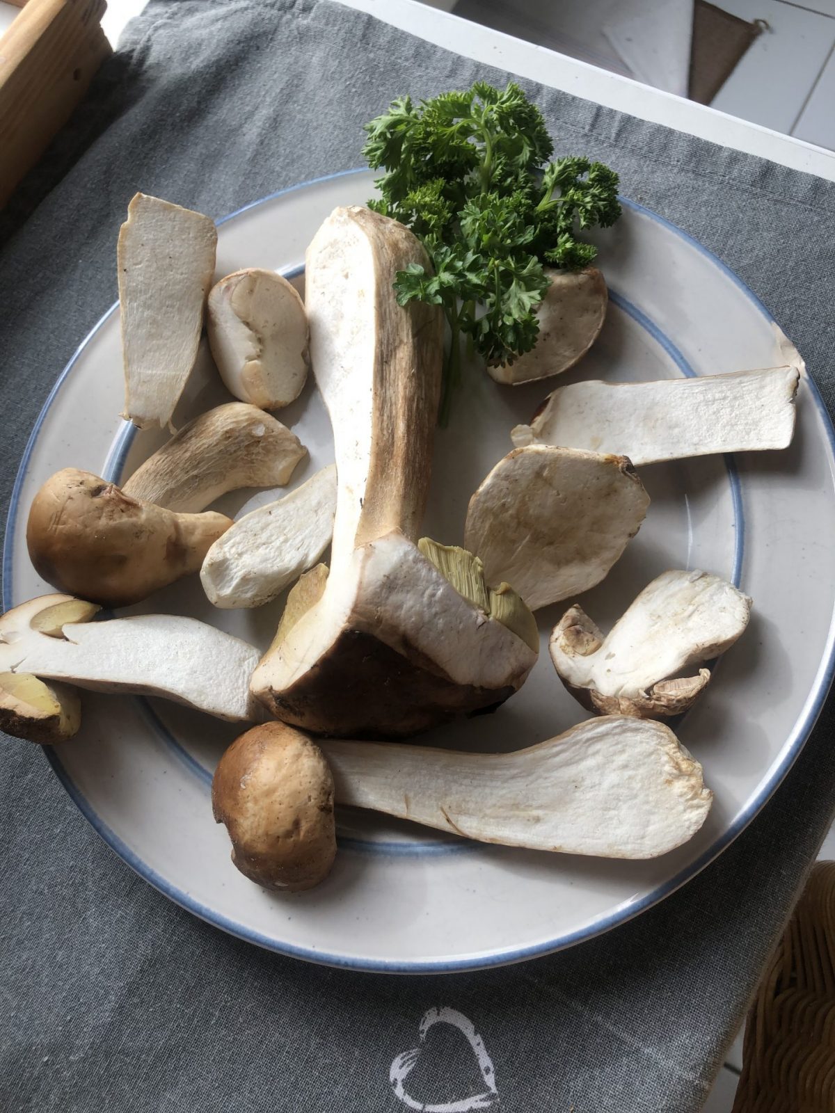 638A5D3B-7457-4DEE-A05D-3B62F7A2221D