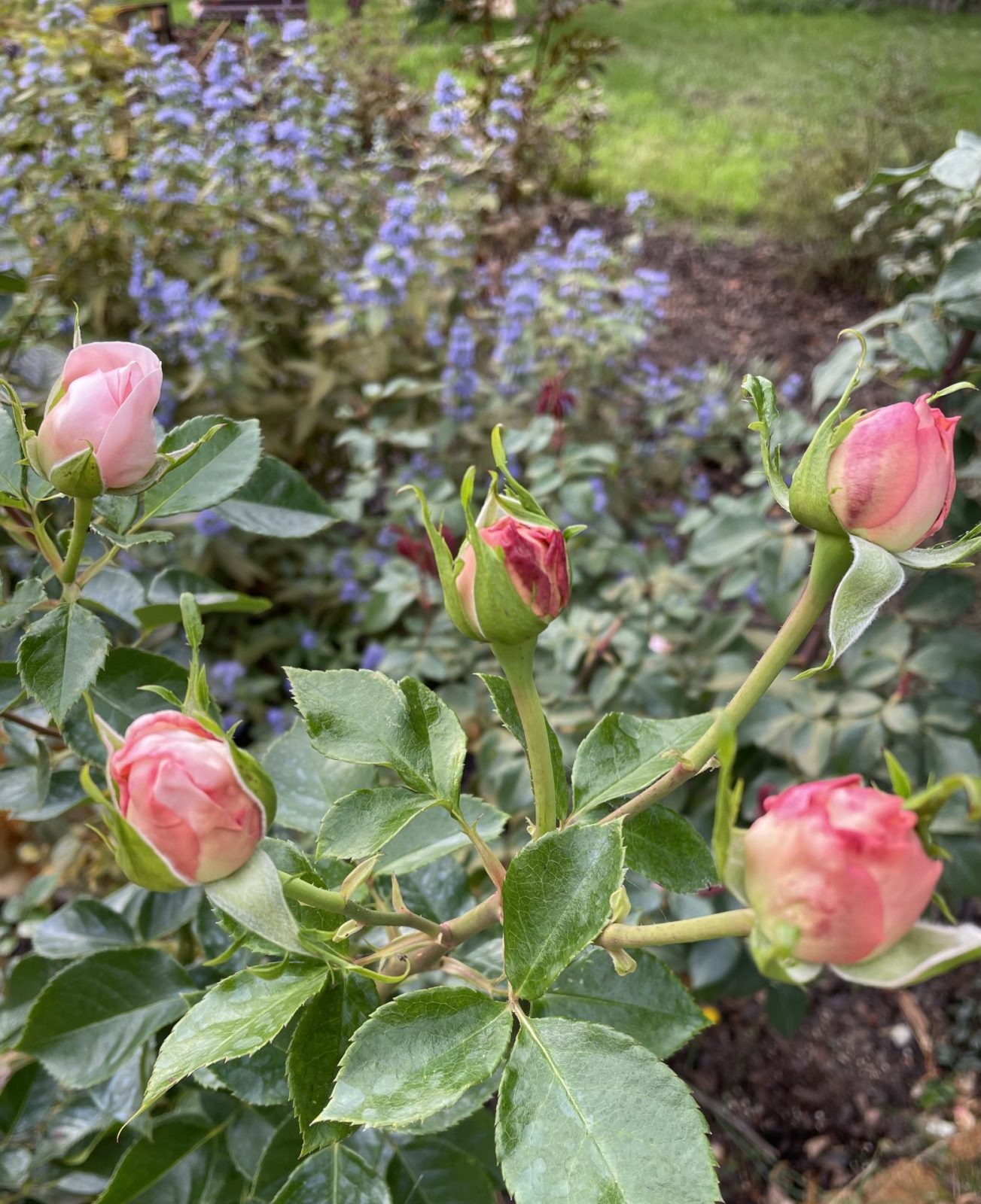 63FF5DEB-1D3C-4395-A3F2-5CE012AA8834