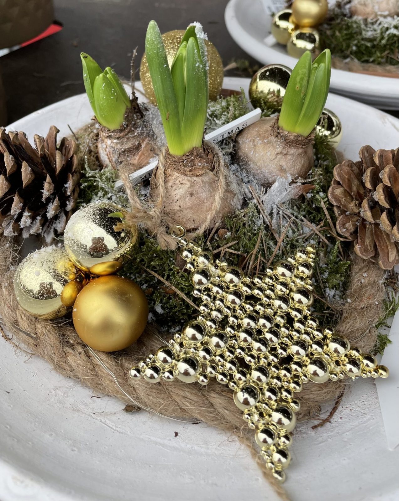 6464AD70-919F-4185-8D5D-7A9FD5173A51