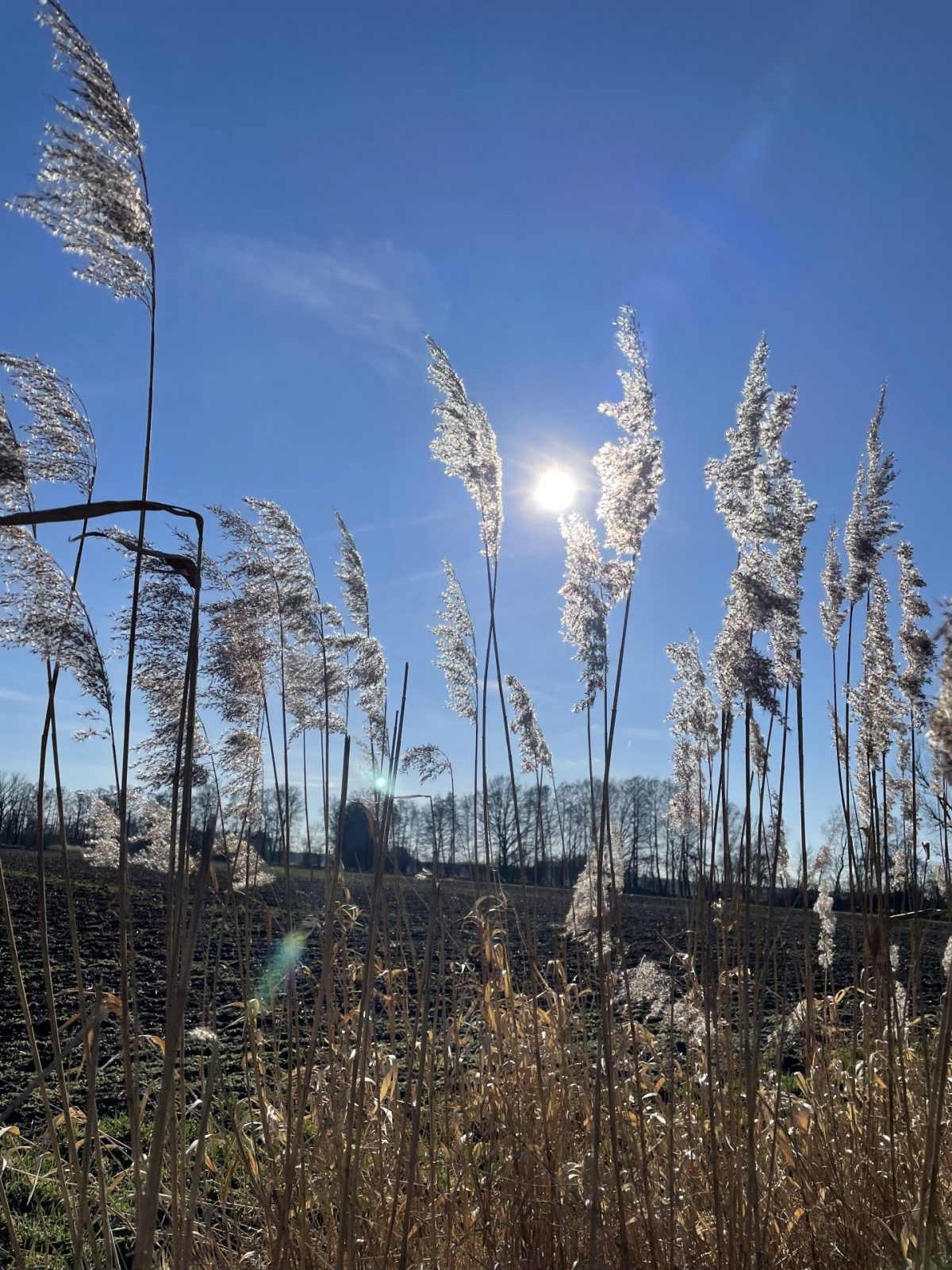 64768B72-C788-44C6-9AF2-5CC4A063D210