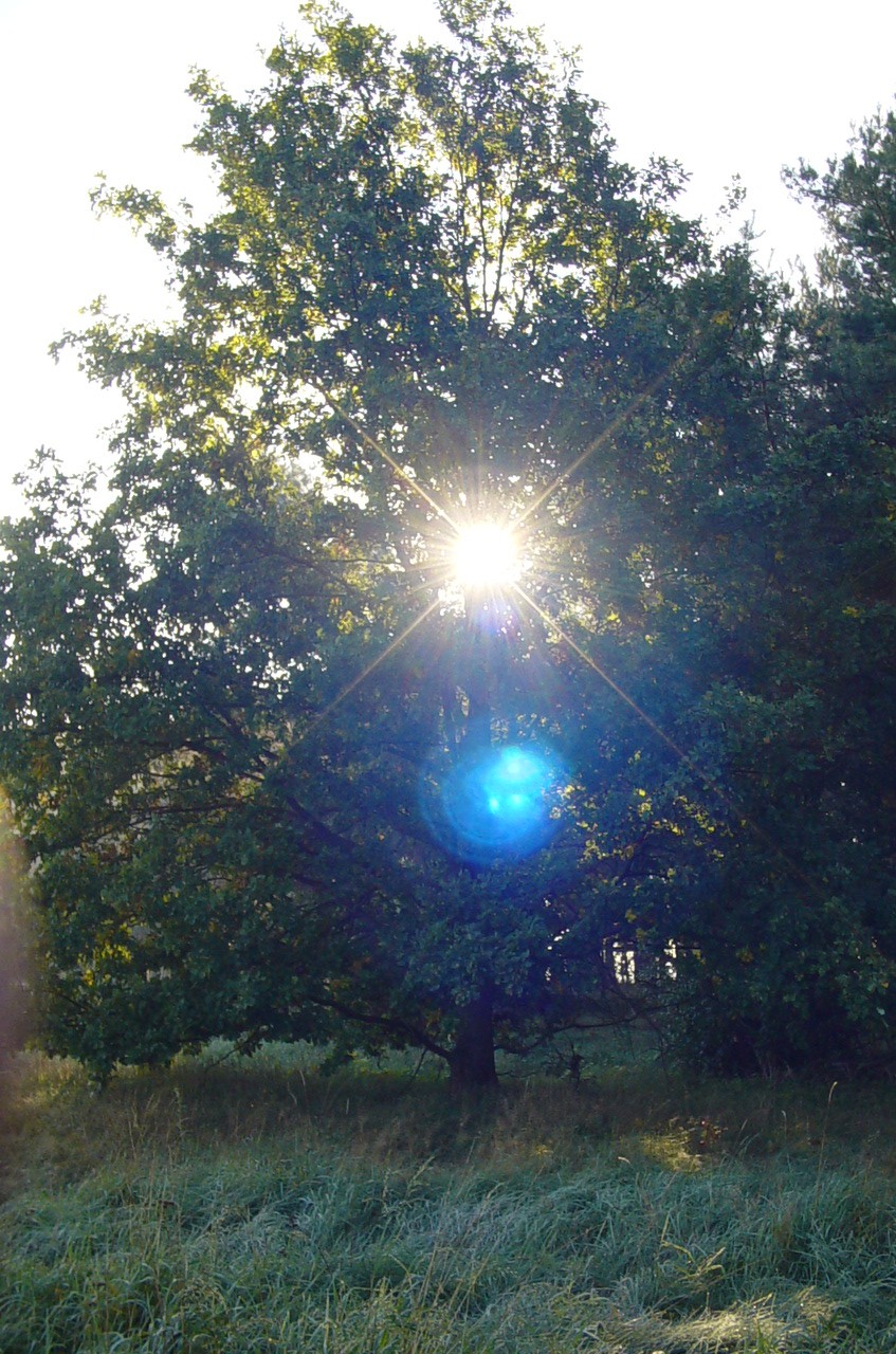 648278BB-63D7-4399-A034-BDBAAAF31E82