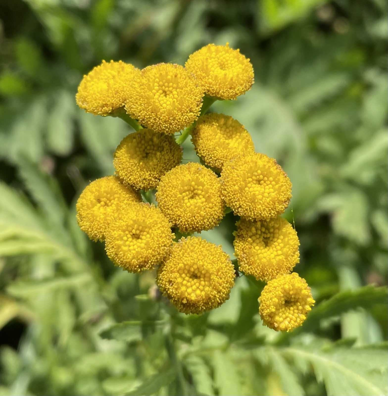 64CCD524-3EBE-423C-95D8-5ABE5EC465EF