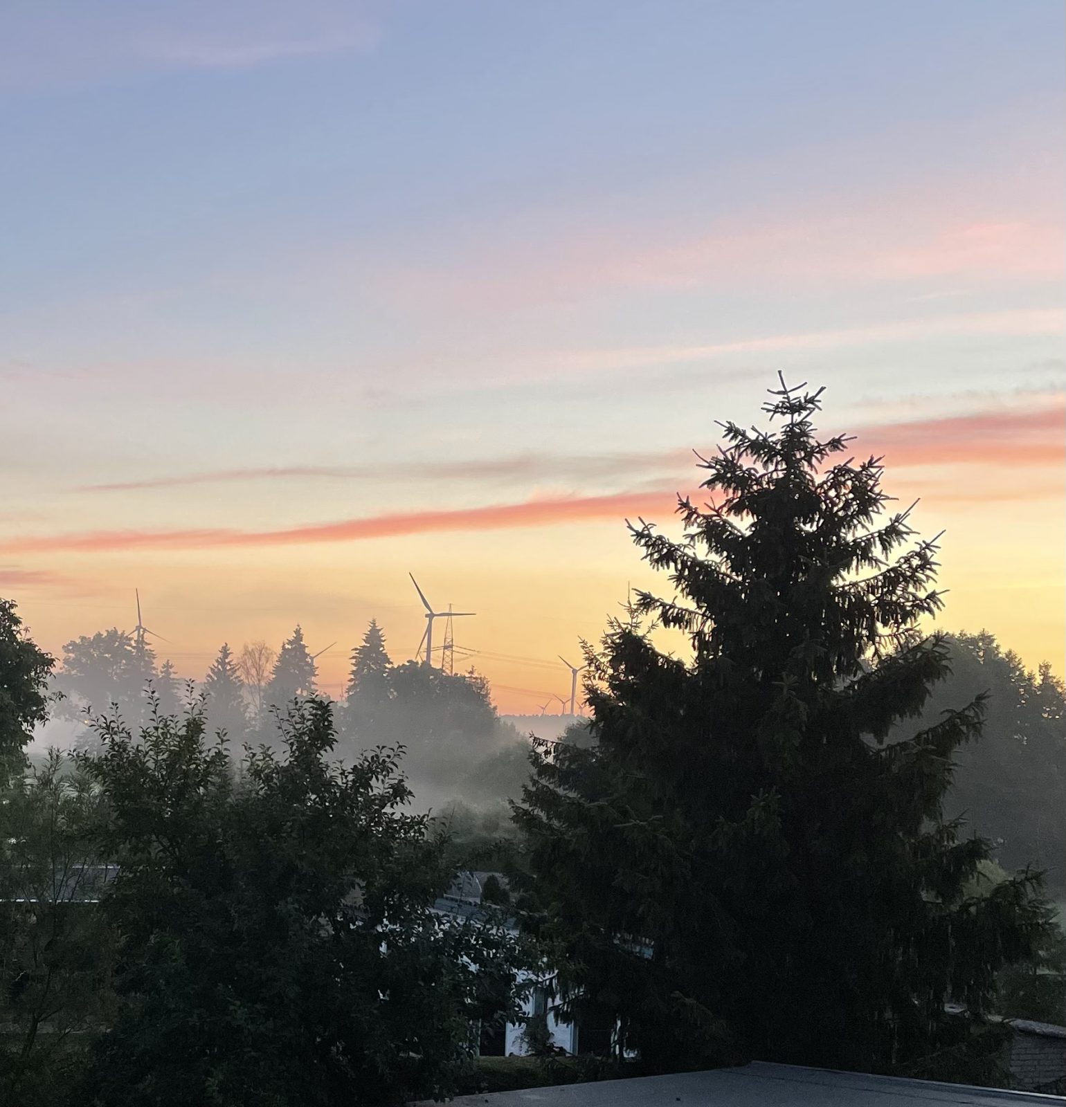 64D040EE-02C9-4B26-98F0-274CB19C372B