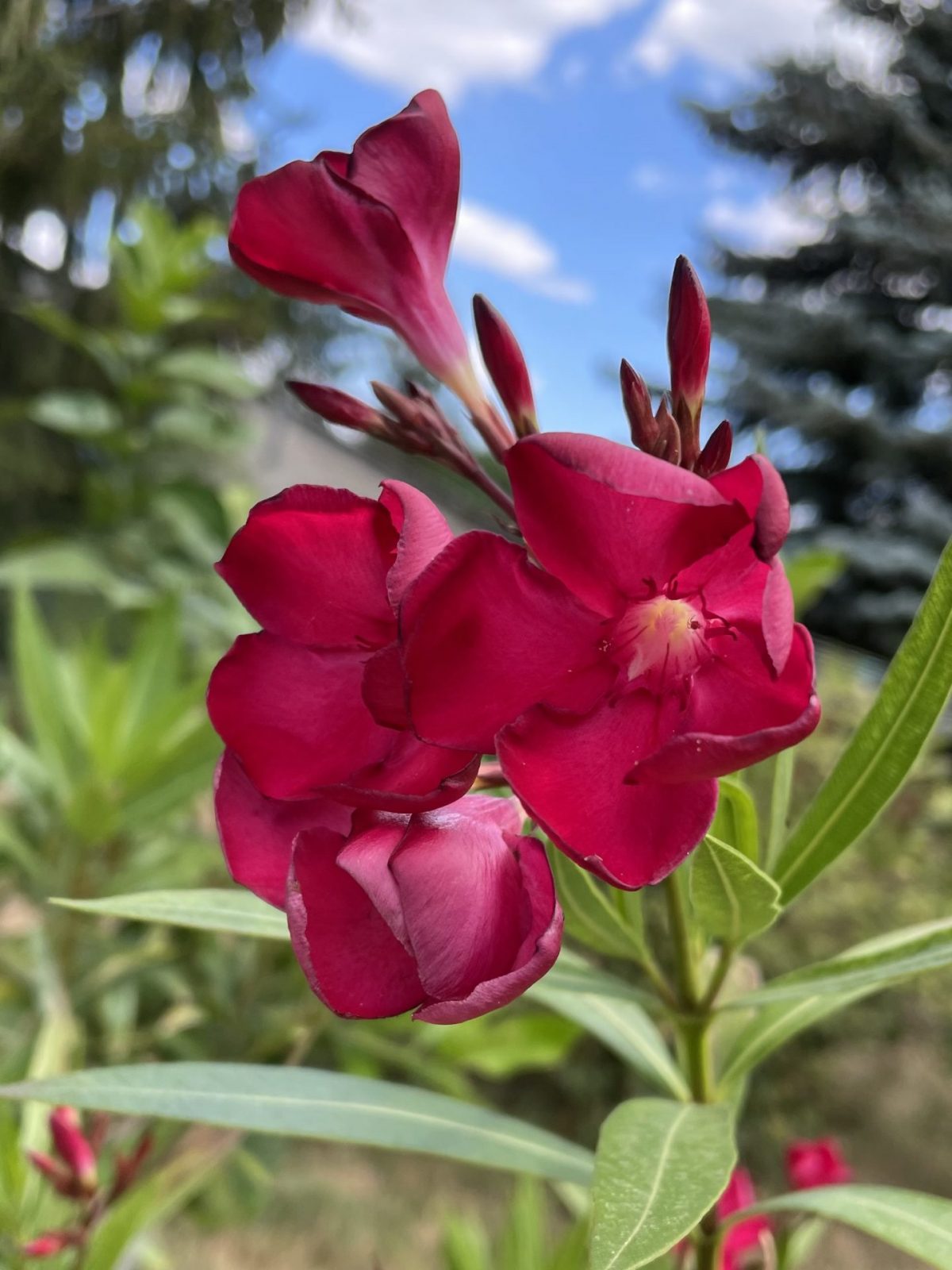 64E7D9D9-F063-41D9-8AF5-BDDF9E708773