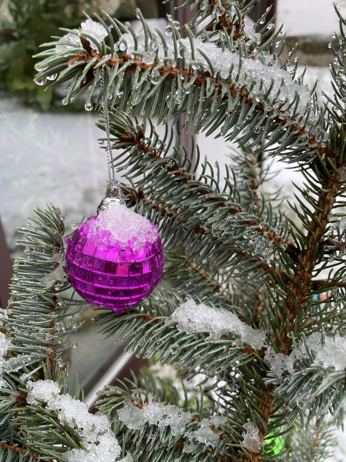 6542D844-0DF0-42D5-96FD-AD4E4C0C6EC9