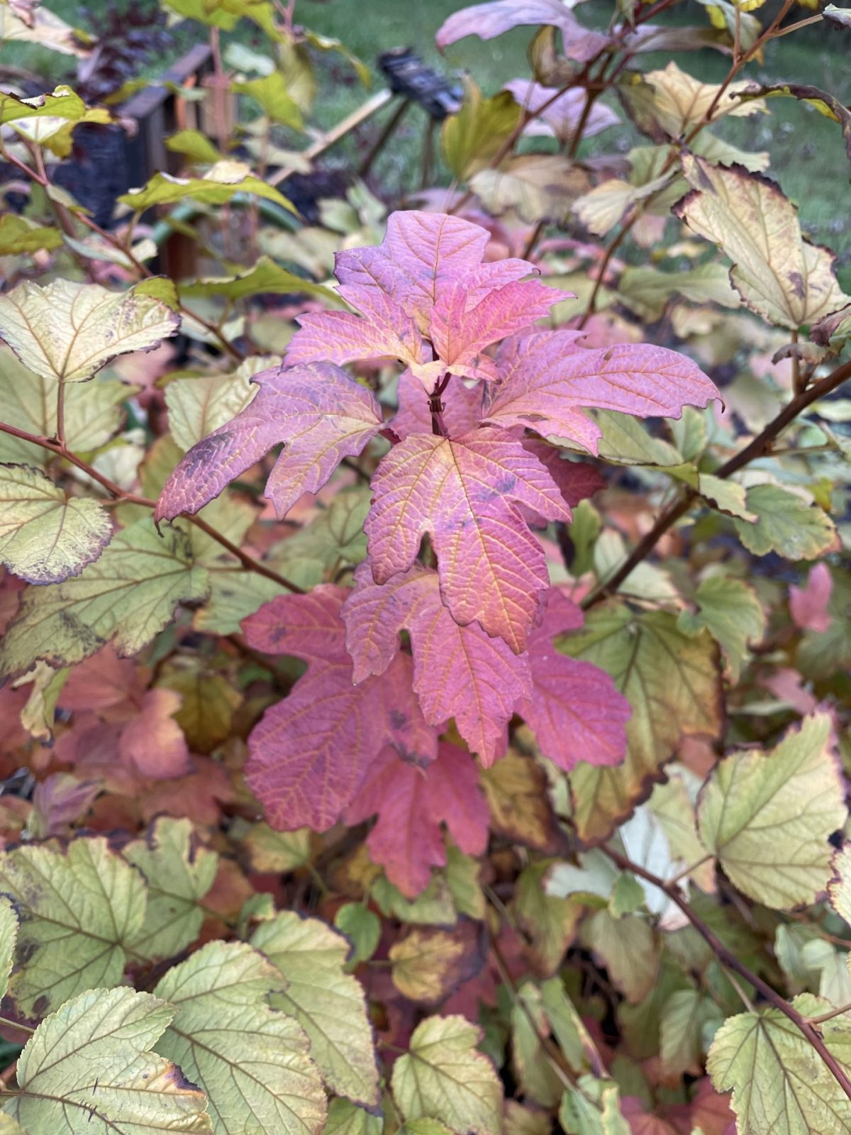 658DC9DE-5F01-48CC-BA0A-99B8E3290B94