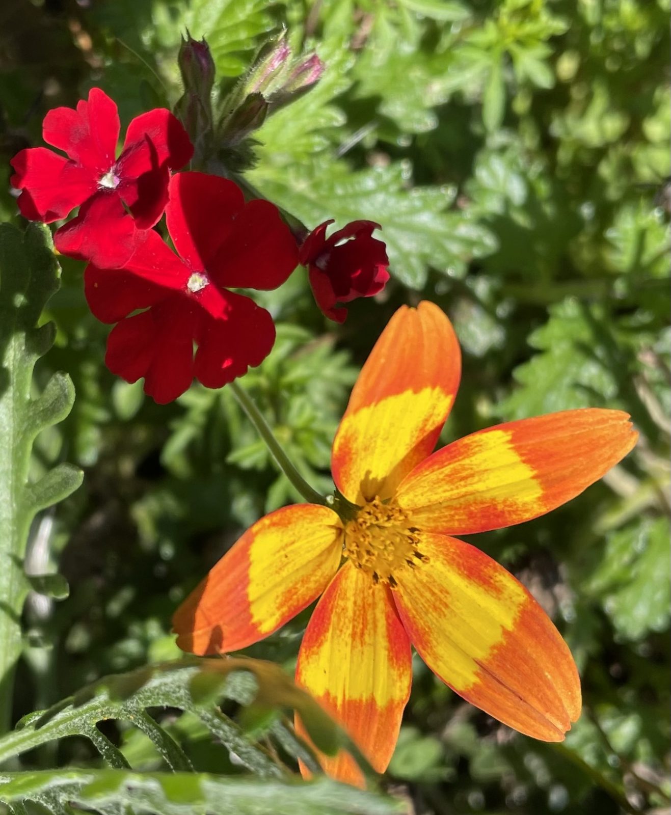 65A92318-FBD0-496A-BED6-68E95F57624D