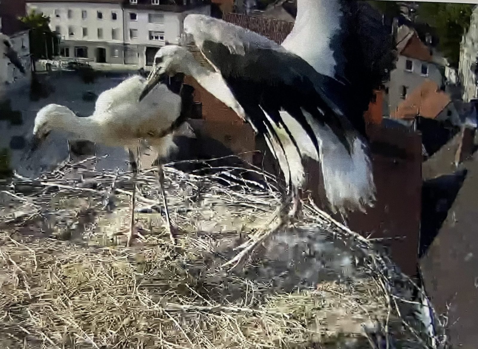 65ED541F-6DAC-4C92-866D-B3AA40D9AFA7